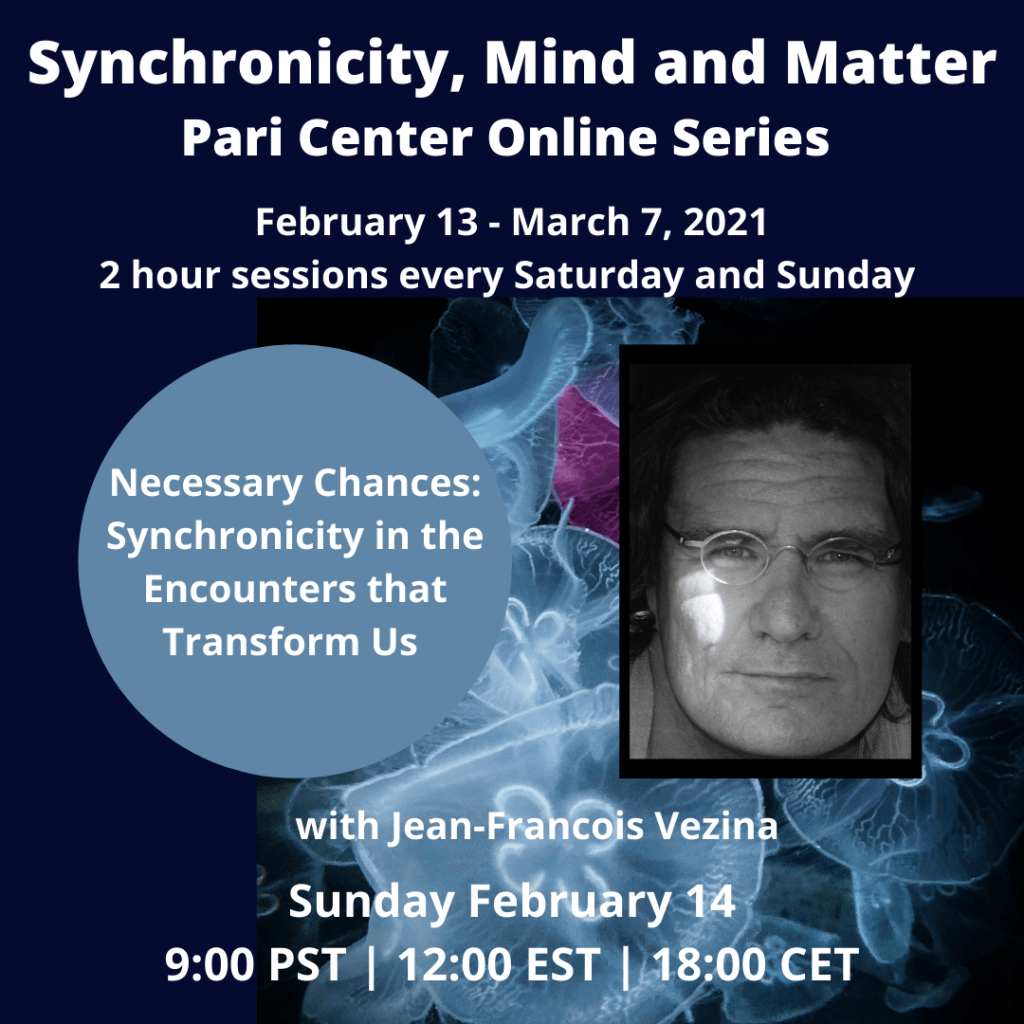 https://paricenter.com/product/necessary-chances-synchronicity-in-the-encounters-that-tansform-us-with-jean-francois-vezina/